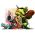 Nettleseren strategi online